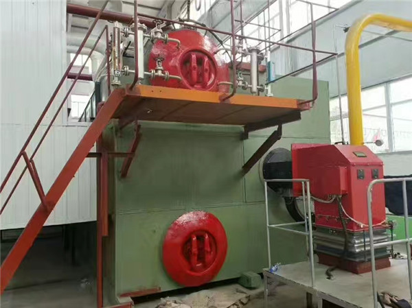 SZS型20噸燃?xì)庹羝仩t