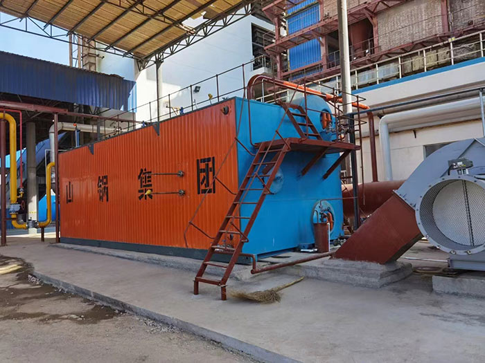 SZS25-1.25燃?xì)忮仩t